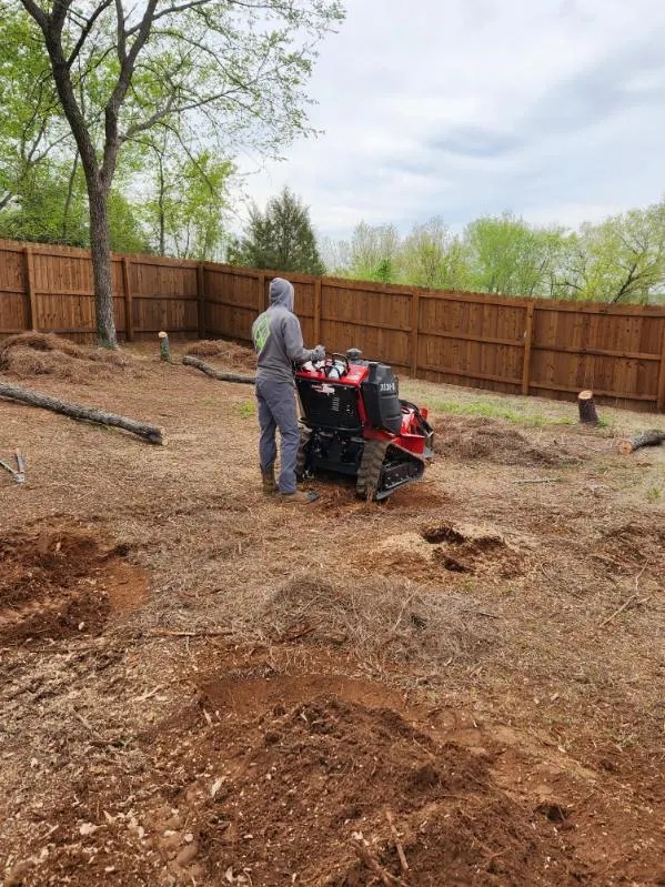 Backyard land clearing and stump grinding in progress